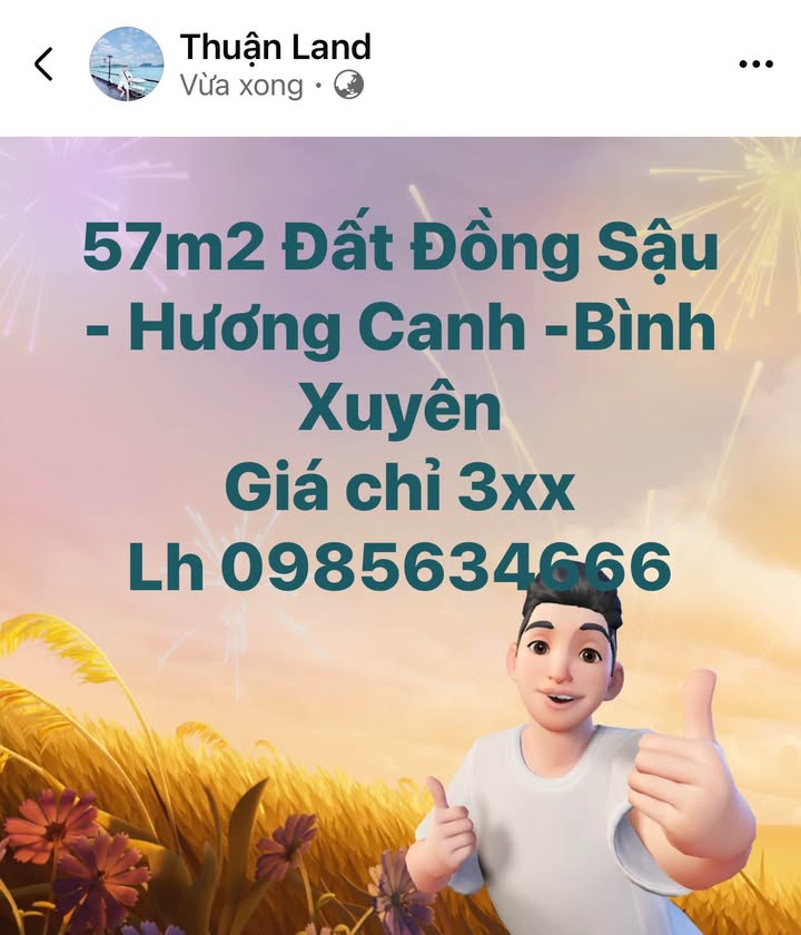 Đất nền Đồng Sậu, Bình Xuyên 57m² - Giá chỉ 3xx triệu - Sổ đỏ sẵn sàng