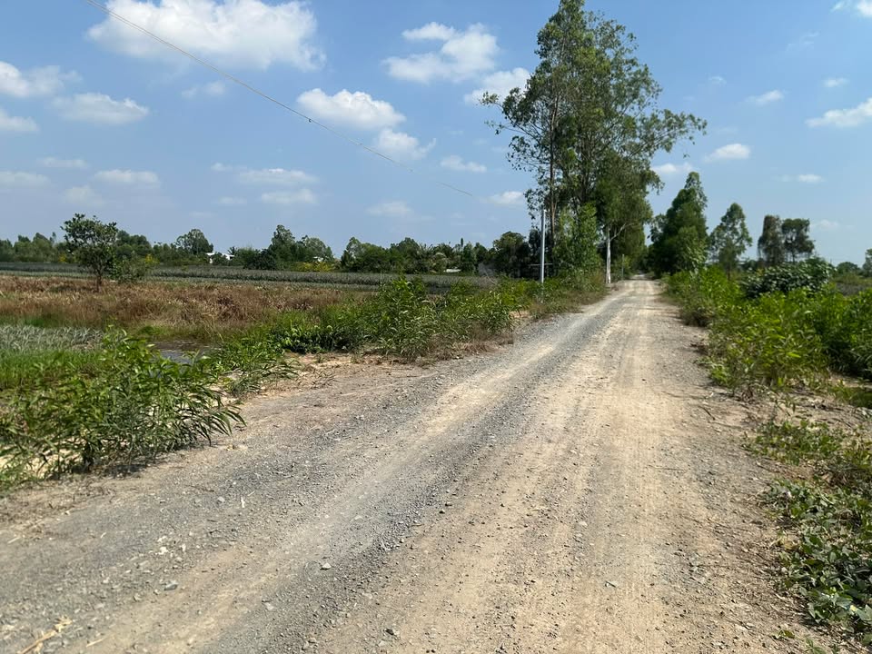 Đất Vườn 14.280m² Tân Phước, Tiền Giang - Sổ Riêng, Gần KCN