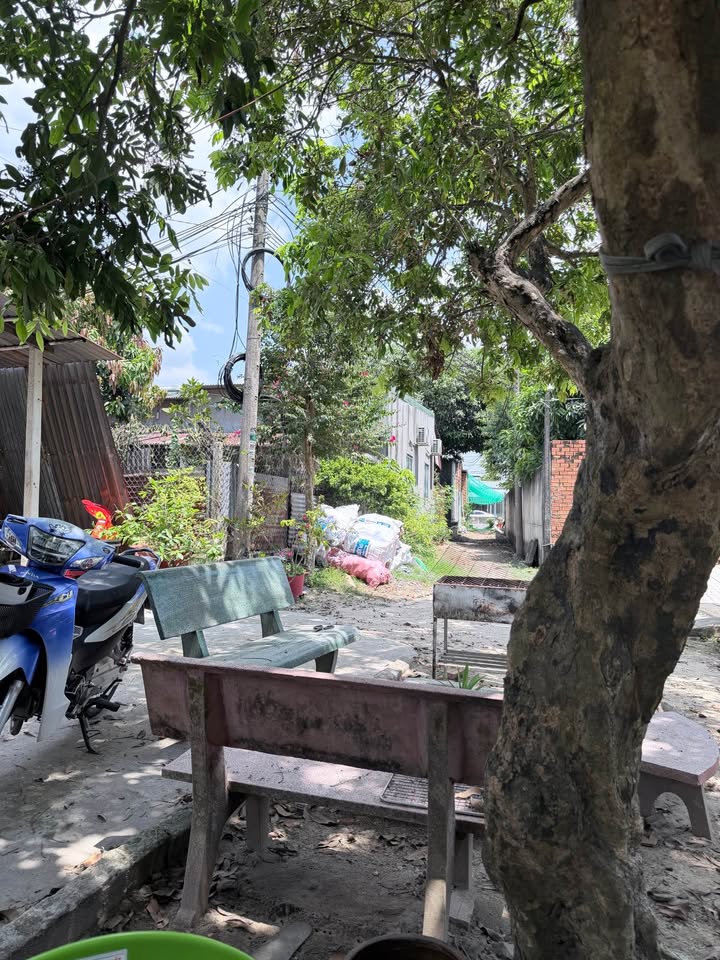 Bán Nhà Gấp Xã Phước Trạch, Gò Dầu, Tây Ninh - 102m² Giá 560 Triệu