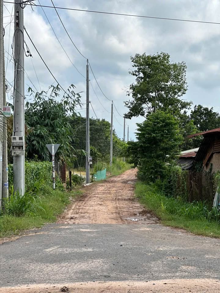 Bán gấp đất 195m² thổ cư Suối Đá, Dương Minh Châu - Chỉ 200 triệu