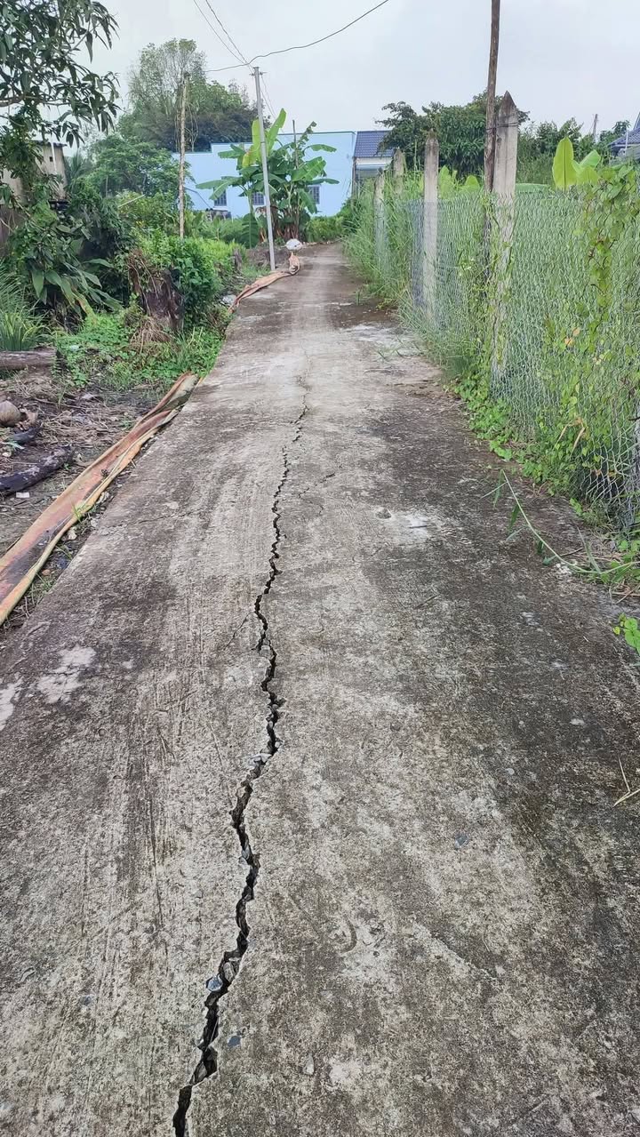 Bán Gấp Đất 265m² Phường Sơn Quy, Gò Công - Sẵn Sàng Xây Dựng