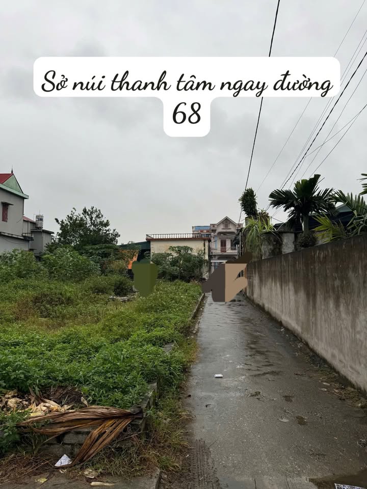 Đất Nền Thanh Liêm - 82m² Lõi KCN, Ngõ Thông, Ô Tô Đỗ Cửa