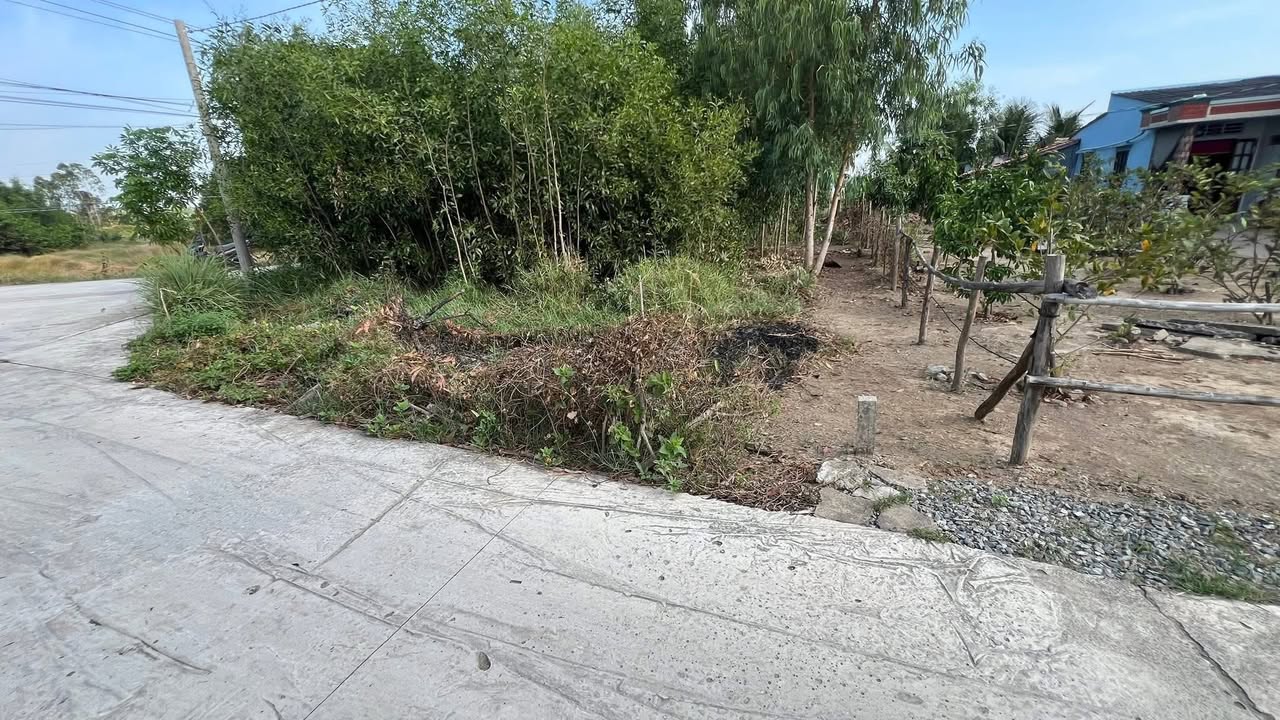 Đất nền Long Hựu Tây Cần Đước 430m² giá 1 tỷ - Sổ đỏ chính chủ