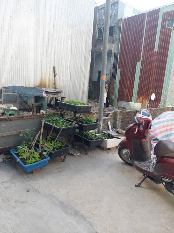 Bán Đất Kiệt Hoàng Văn Thái, Đà Nẵng - 60m² Sổ Đỏ Giá 2.5 Tỷ