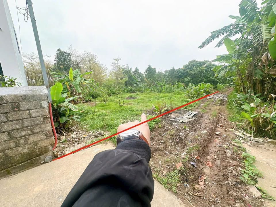 Đất nền Xã Thanh Mai, Thanh Oai 236m² - Tiềm năng tăng giá!