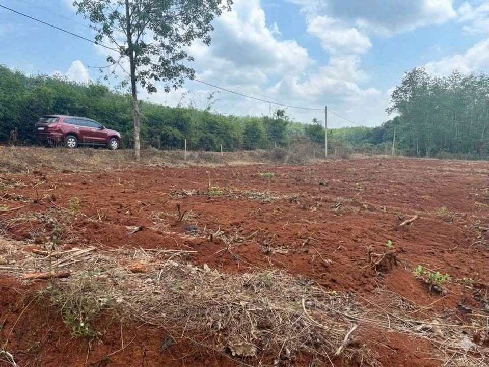 Đất nền Củ Chi 2000m² giá 290 triệu - Sổ đỏ chính chủ!