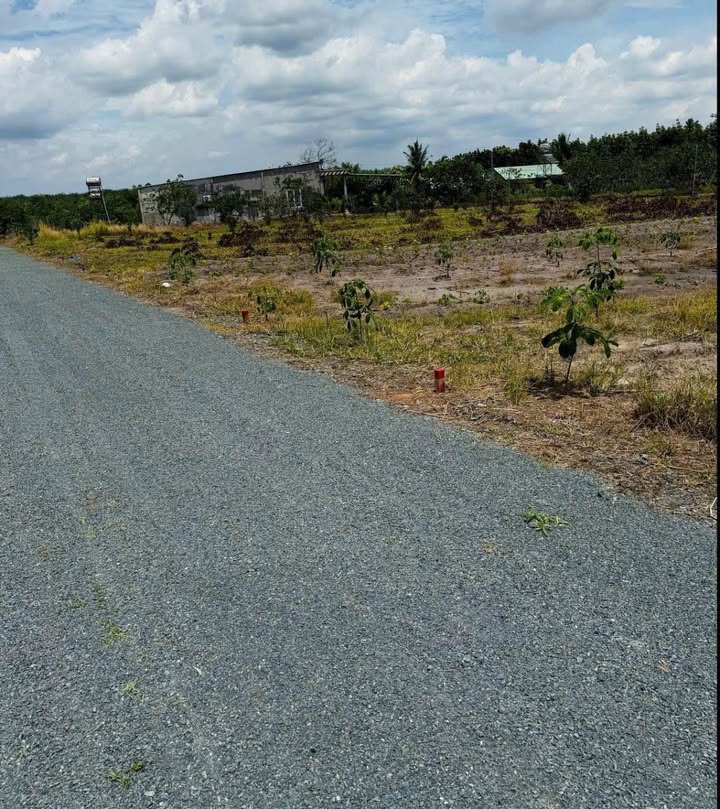 Đất nền Tân Kiên, Bình Chánh 200m² - Sổ hồng sẵn sàng!