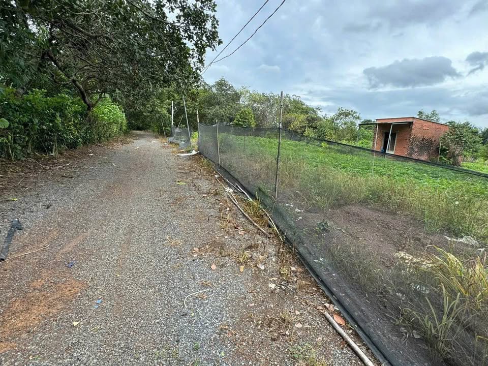 Đất Nền Tân Khai 200m² View Hồ Sinh Thái - Sổ Hồng Riêng, Giá 470 Triệu