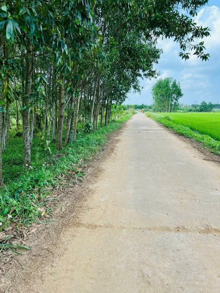 Đất nền Sơn Tịnh, Quảng Ngãi 700m² - Tiềm năng tăng giá vượt trội!