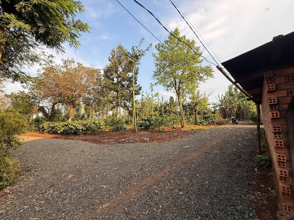 Đất Vườn Buôn Ma Thuột 1800m² Sổ Hồng - Giá Đầu Tư 2.2 Tỷ