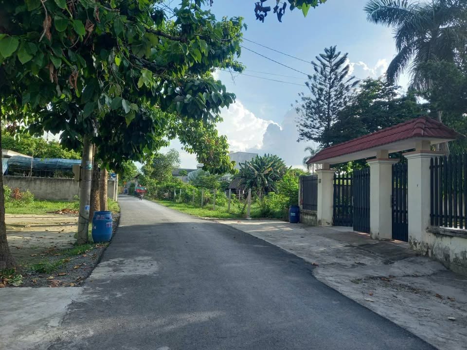 Đất nền Hòa Phú Củ Chi 2500m² giá 25 tỷ - Sổ đỏ chính chủ