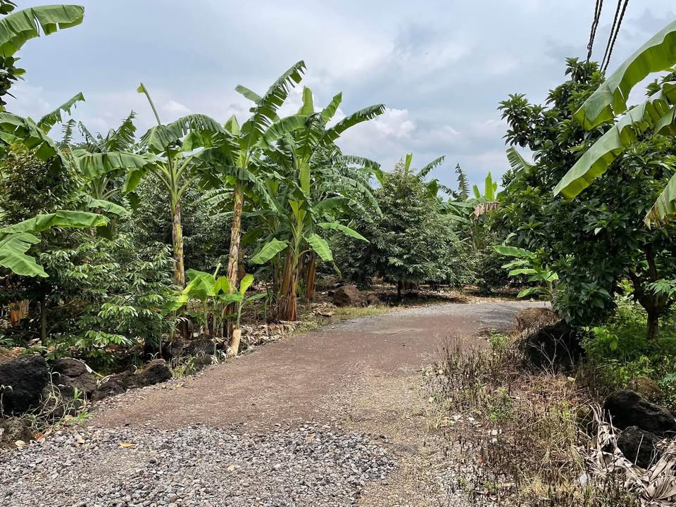 Đất nền Bảo Bình Cẩm Mỹ 3219m² – Tiềm năng tăng giá vượt trội!