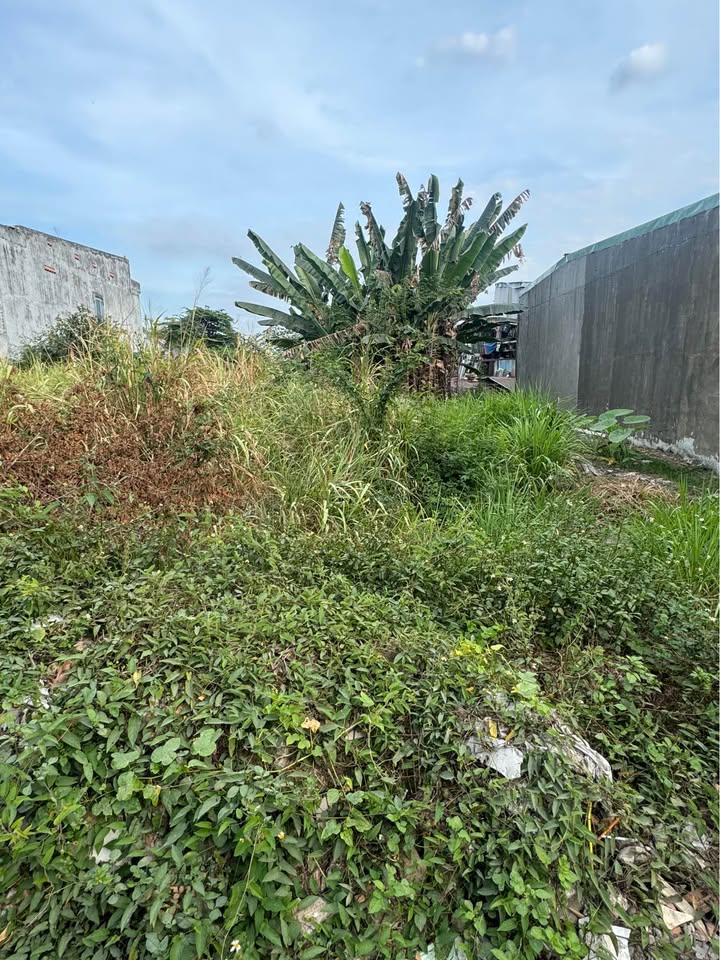 Đất Vàng Biên Hòa 84m² - Sổ Hồng Chính Chủ, Đường Ô Tô Thoáng