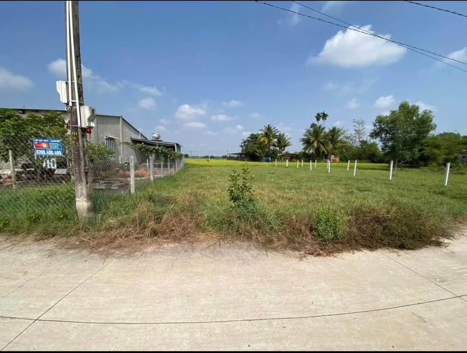 Đất nền Biên Hòa 15m² - Sổ đỏ chính chủ, giá chỉ 165 triệu!