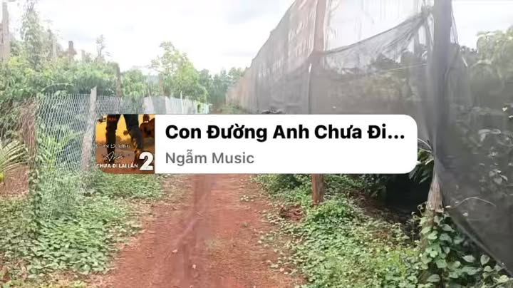 Farm 1.5ha Ia Phang, Chư Pưh: 200 Cây Cafe, Sầu Riêng, Na Thái - Giá 3.35 Tỷ
