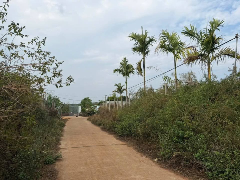 Bán Đất Vườn 3.5ha Xã Gào, Pleiku - Sổ Hồng Chính Chủ, 2 Mặt Tiền Đường