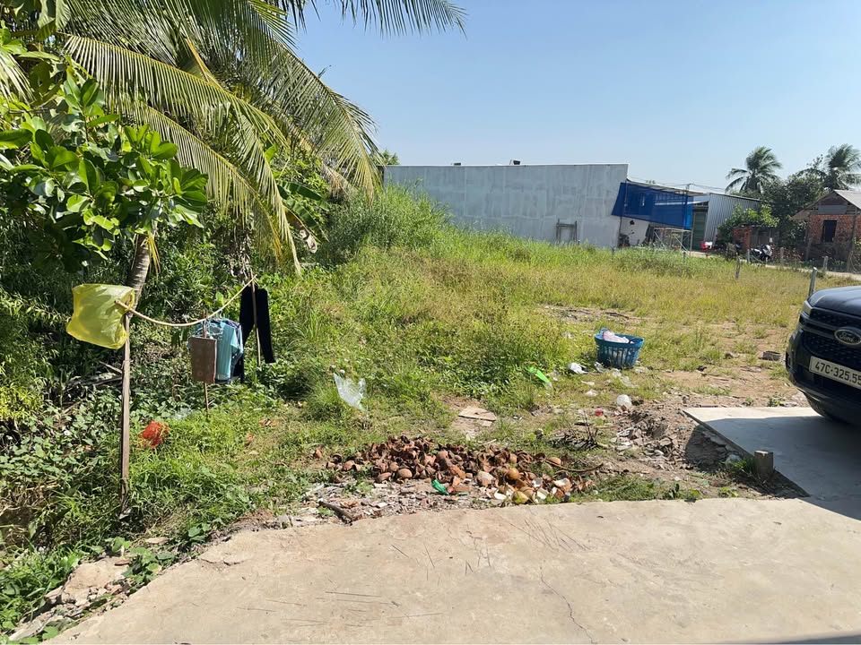 Bán Đất Nền Mỹ Lợi, Cao Lãnh 100m² Sổ Hồng Sẵn Sàng - Giá Tốt Đầu Tư