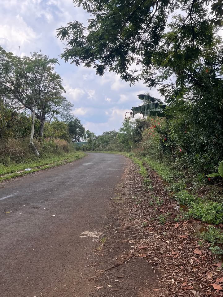 Đất nền Hoàng Diệu, Đức Trọng 196m² giá 25.48 tỷ - Tiềm năng tăng giá!