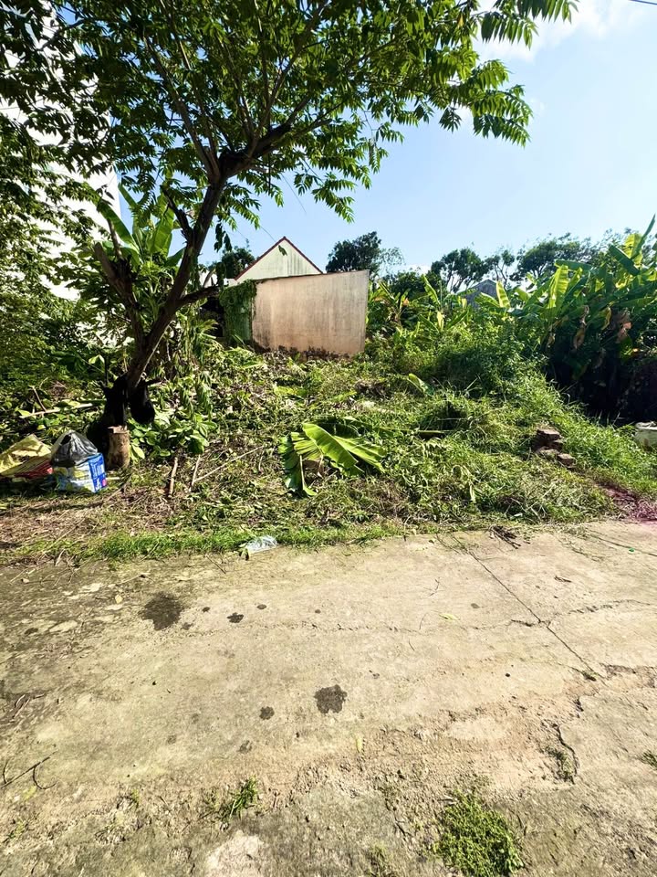 Đất nền Trần Thị Thơm Mỹ Tho 108.7m² - Đường to ô tô, sổ đỏ chính chủ!