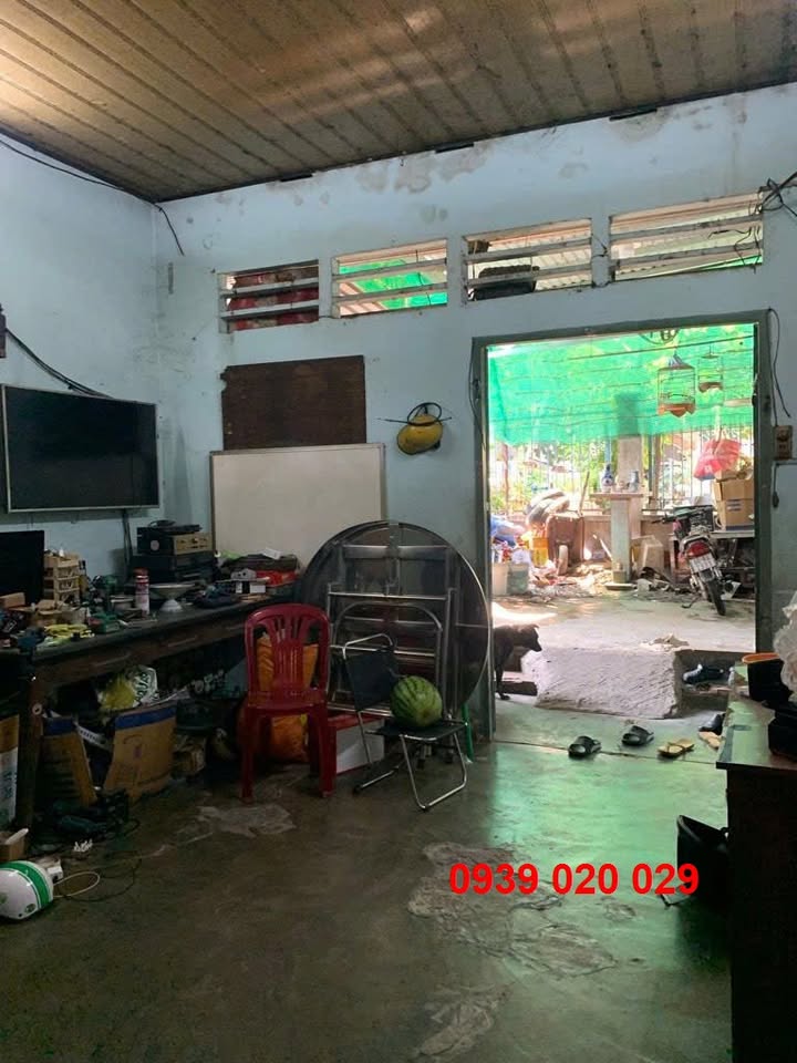 Đất nền Thủ Đức 157m² dưới 5 tỷ - Sổ đỏ chính chủ!