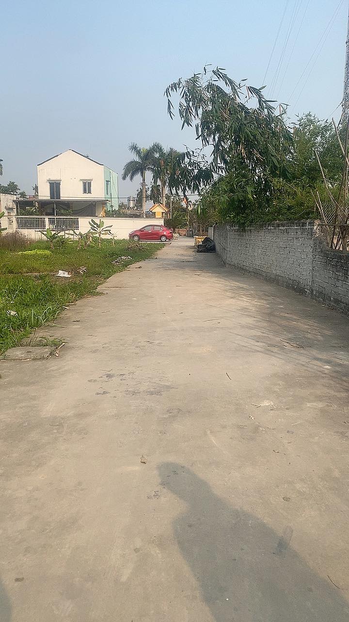 Bán Gấp Lô Góc 113m² Xã Lạc Phượng, Tứ Kỳ - Giá 1 Tỷ Đầu Tư