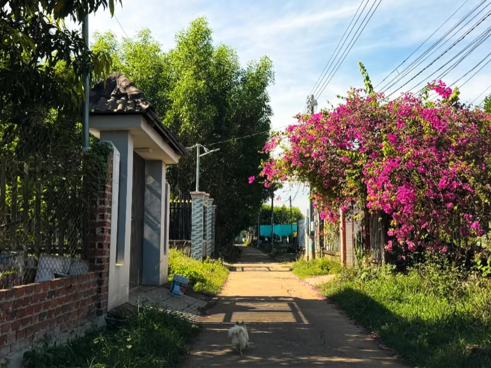 Bán Gấp 2 Nền Đất Full Thổ Cư Xuân Tâm, Đồng Nai - 155m²/lô, Gần KCN