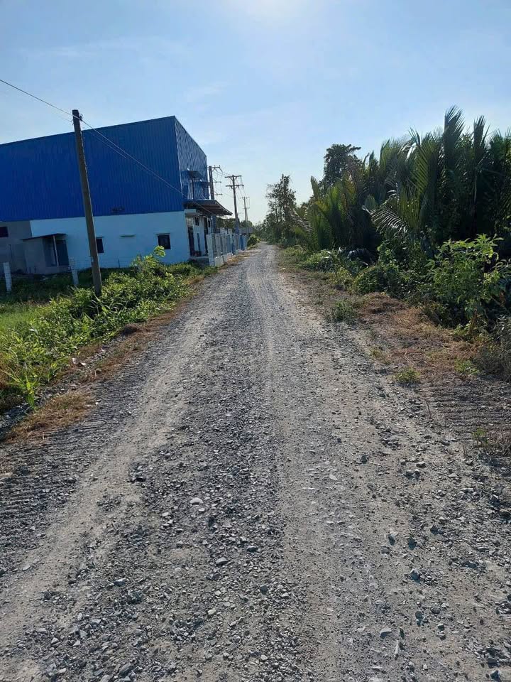 Đất Vườn 4800m² Bến Lức, Long An - Sổ Đỏ, Giá 11.5 Tỷ - Đầu Tư/Làm Kho Xưởng