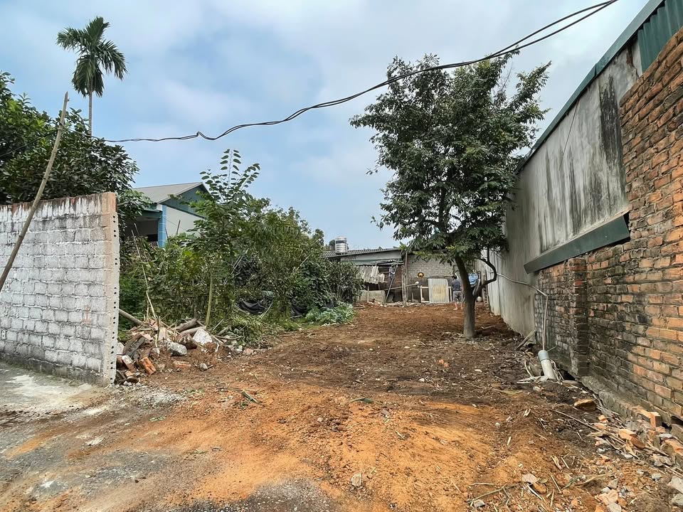 Đất nền 98m² Duy Phiên, Tam Dương - Tiềm năng tăng giá vượt trội!