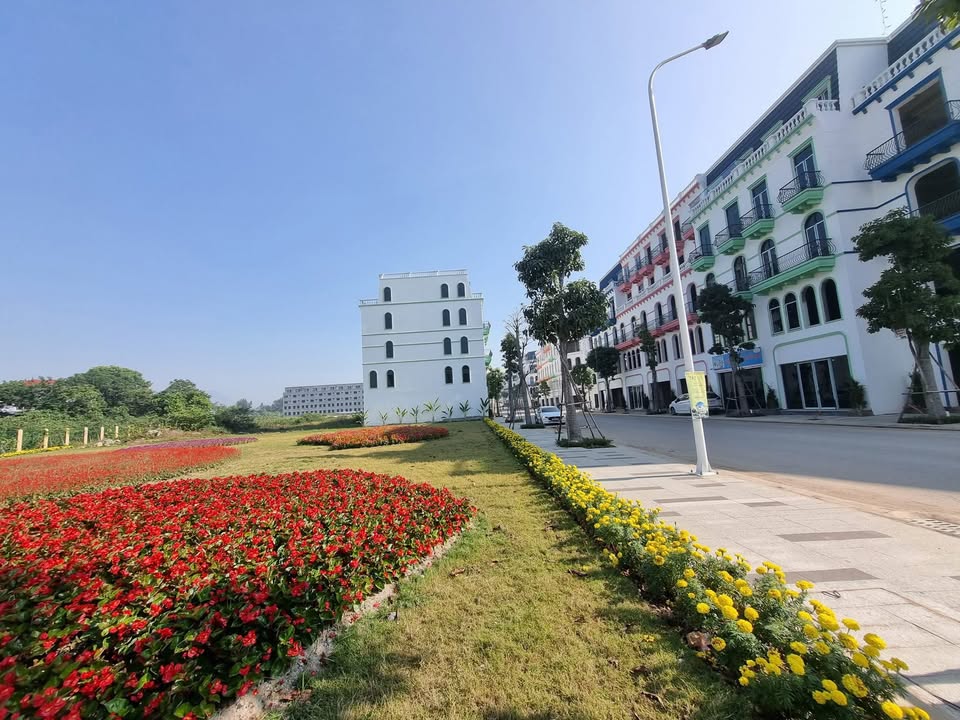 Shophouse 5 Tầng KĐT Sky, Vĩnh Phúc - Kinh Doanh Đắc Địa, 82.5m², 4.x Tỷ