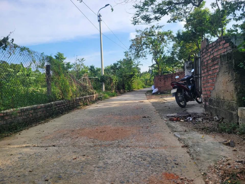 Đất nền Hoàng Hoa, Tam Dương, Vĩnh Phúc 100m² - Sổ hồng chính chủ