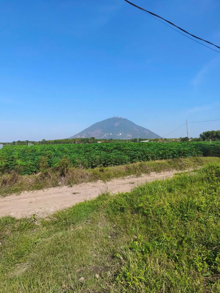 Bán Gấp Đất Vườn Xã Phan, Dương Minh Châu - 3000m², 600 Triệu