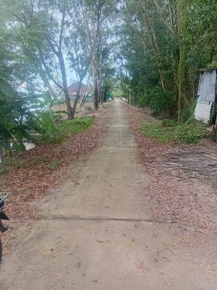 Đất Xã Phú Lợi, Thanh Bình, Đồng Tháp 7419m² - Tiềm năng tăng giá vượt trội!