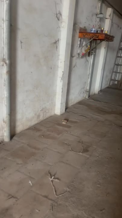 Cho thuê xưởng Phù Khê, Từ Sơn, Bắc Ninh - Sẵn sàng hoạt động