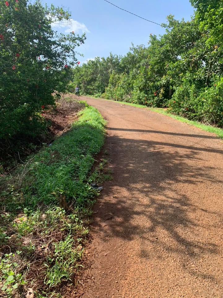 Bán Đất Vàng 3.600m² Mặt Tiền 117m Đường Nhựa Kim Long, Bà Rịa - Vũng Tàu - 8 Tỷ