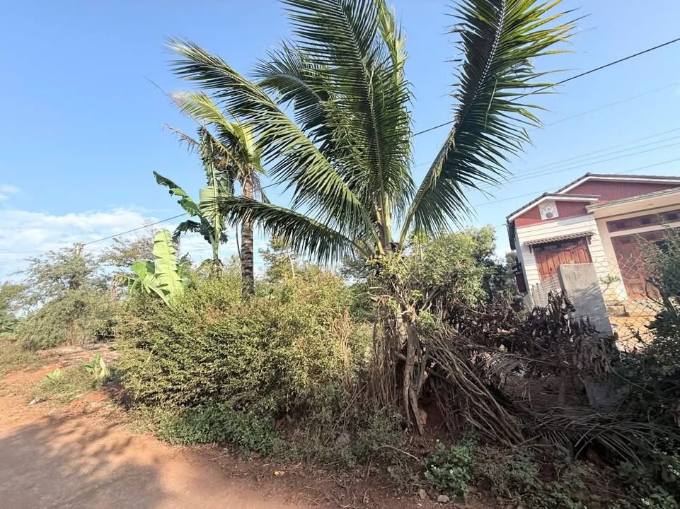 Đất nền Ea Yông, Krông Pắc 270m² - Pháp lý rõ ràng, sổ đỏ trao tay!