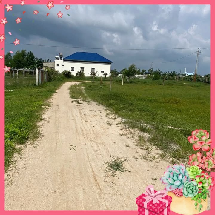 Đất Vườn Nghỉ Dưỡng La Gi 1410m² - 2 Mặt Tiền Đường 5m - Sổ Hồng Sẵn Sàng