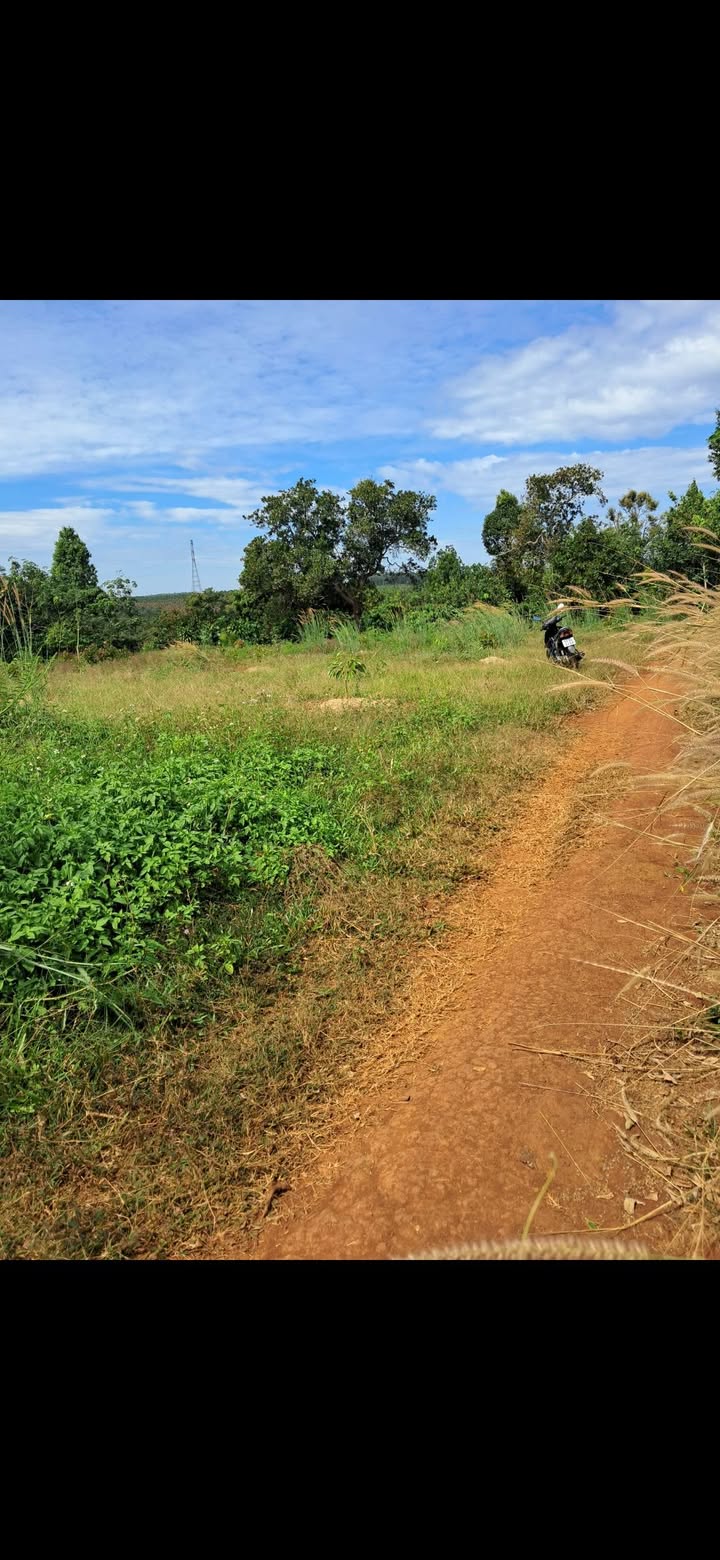 Đất nền Bù Đăng Bình Phước 3600m² - Đường ô tô vào tận nơi!