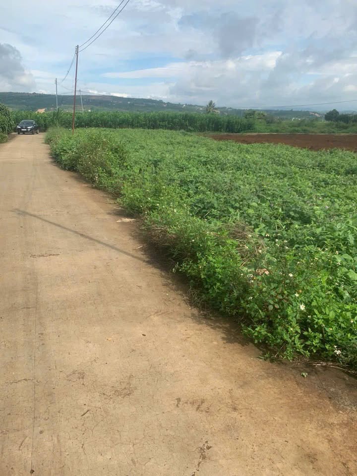 Đất nền Đức Trọng, Lâm Đồng 10800m² - Sổ hồng chính chủ!