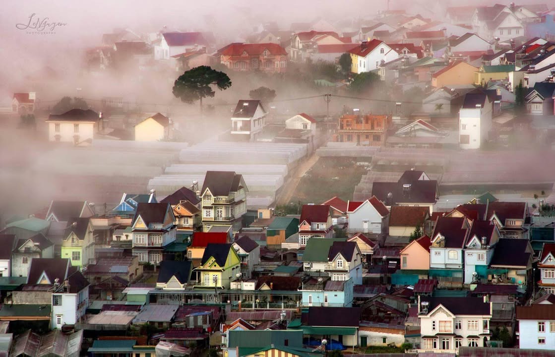 Bán Đất Biệt Thự Vườn Đà Lạt 906m² - View Rừng Thông, Thế Đất Vượng