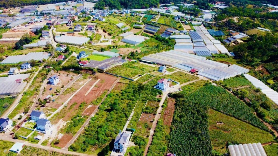 Đất Nền Măng Lin Đà Lạt - Sổ Đỏ Rõ Ràng, Giá Tốt Hơn 2022