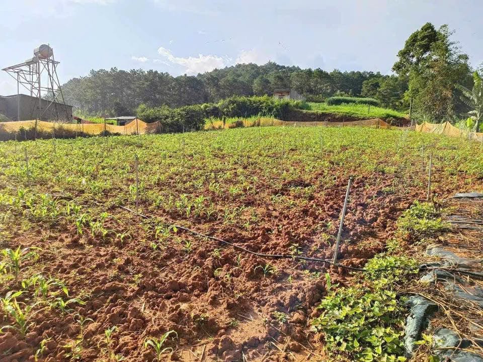 Đất Vườn Xinh Bảo Lộc 2200m² - Sổ Sẵn Công Chứng Ngay