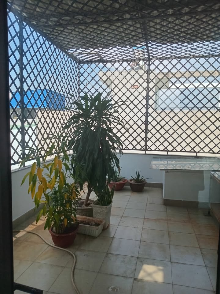 Nhà Phố Long Trường Thủ Đức 79m² 7.6 Tỷ - Mặt Tiền Kinh Doanh Hiếm Có!