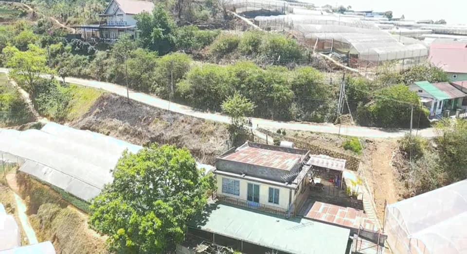 Đất Vàng Đà Lạt - 299m² Phường 11, Sổ Riêng, Giá 8.5 Tỷ