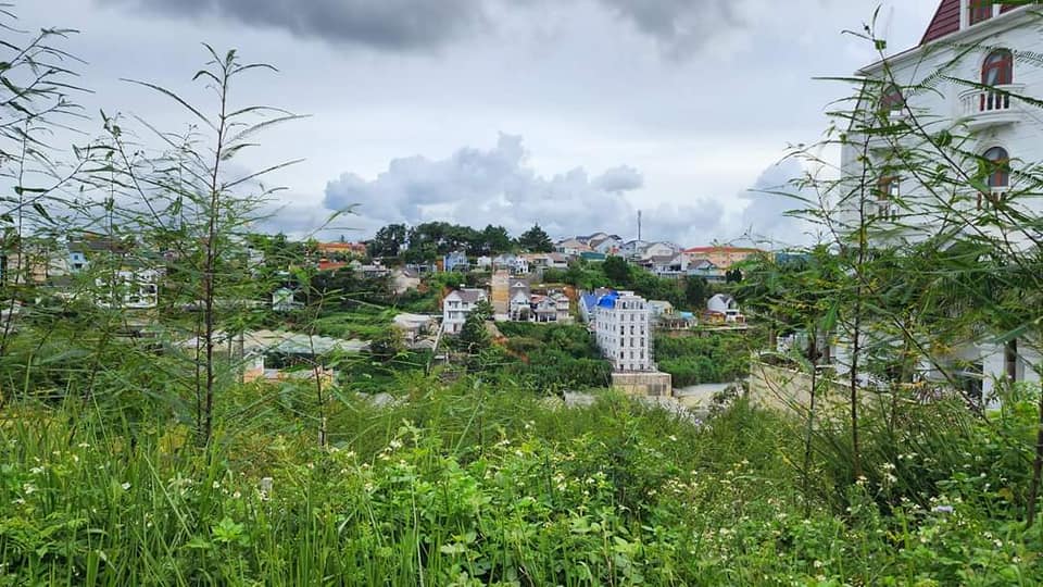 Bán Đất Mặt Tiền Đồi Hoàng Đà Lạt 860m² - View Đẹp, Sổ Hồng