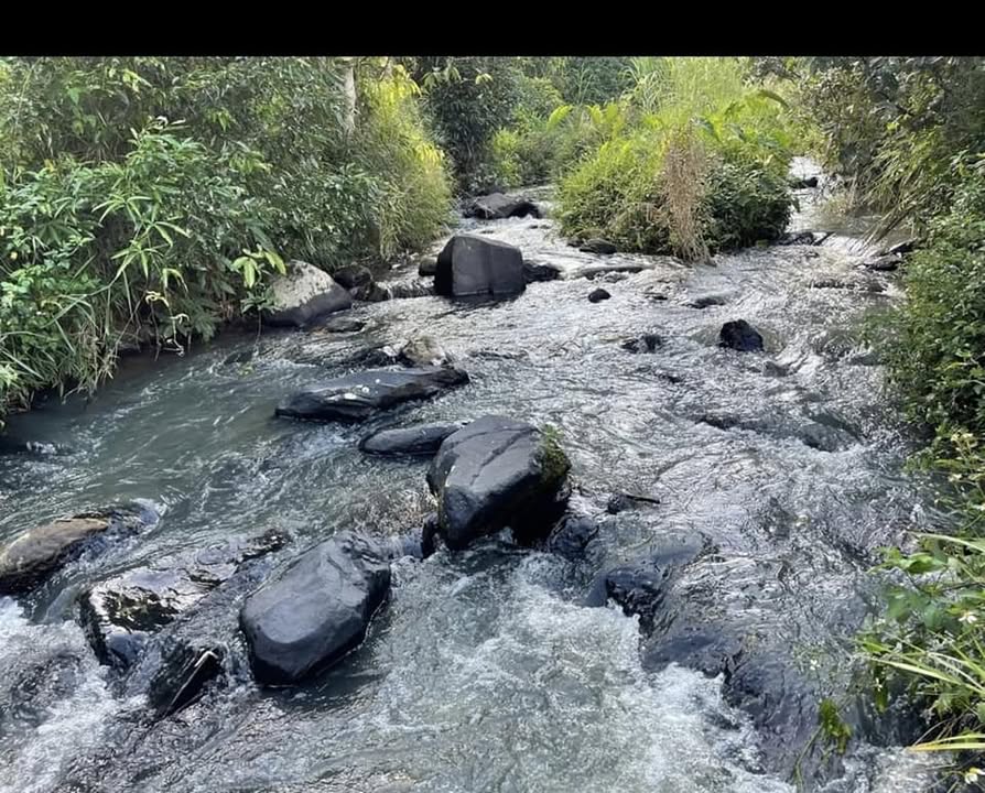 Đất Ninh Gia, Đức Trọng 2200m² - Tiềm năng tăng giá vượt trội!