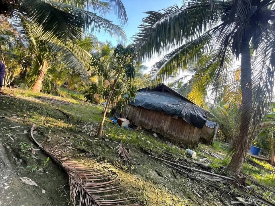 Đất nền Mỏ Cày Bắc, Bến Tre 2000m² giá 1.7 tỷ - Giá tốt hiếm có!