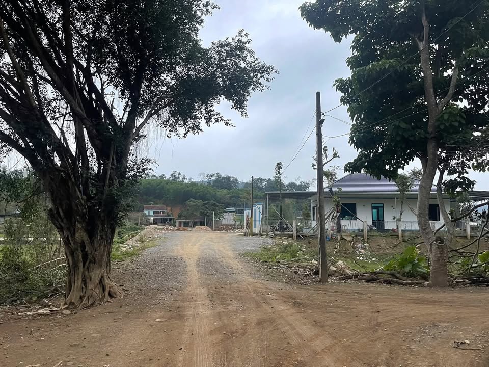 Đất nền Khối 7, Anh Sơn 187m² - Sổ đỏ chính chủ, tiềm năng sinh lời!