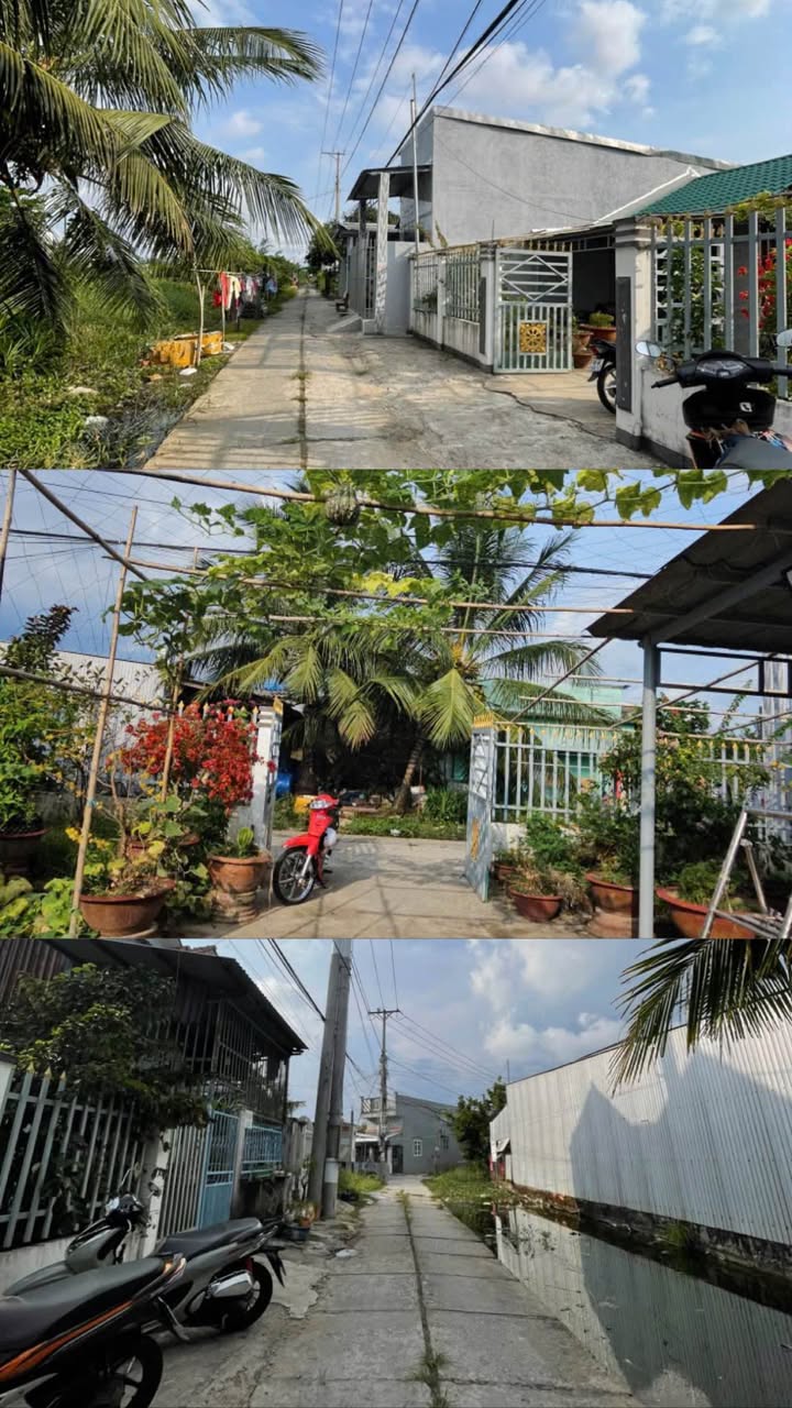 Đất Vườn Tỉnh Cà Mau 360m² - An Yên Hưởng Trọn Cuộc Sống