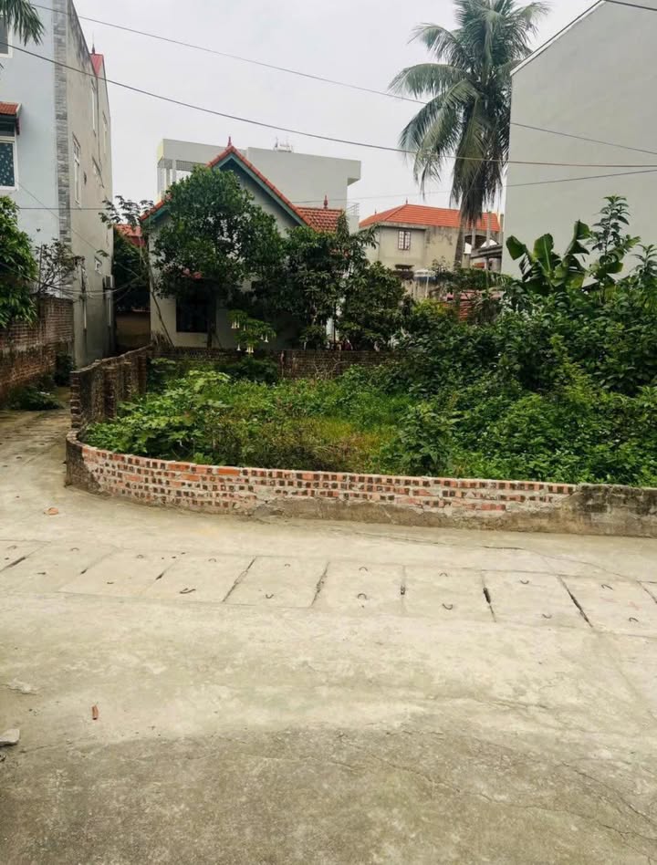 Đất nền Trần Phú Ba Đình 80m² - Sổ đỏ chính chủ, bán nhanh!