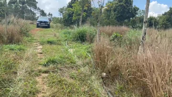 Bán gấp 2ha Đắk Nông - Đất cà phê sổ hồng, giá 1.35 tỷ